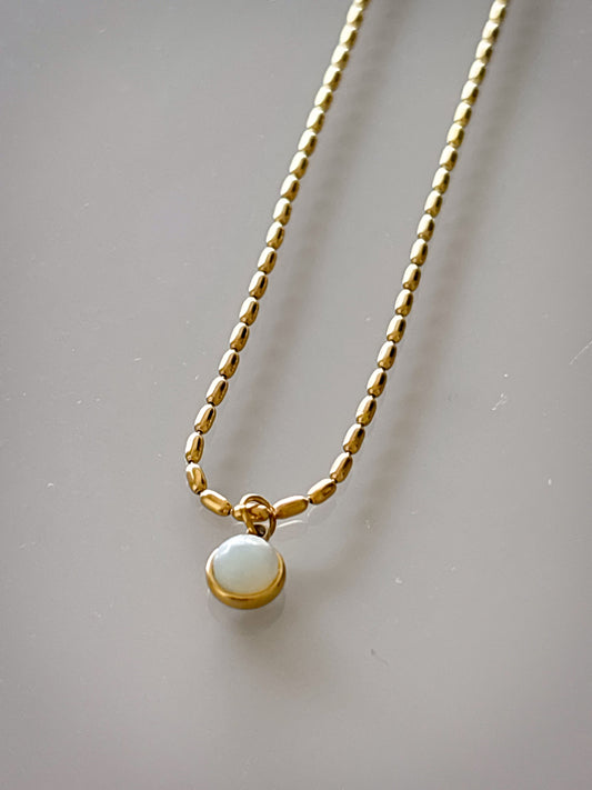 Collar Holistic Dot