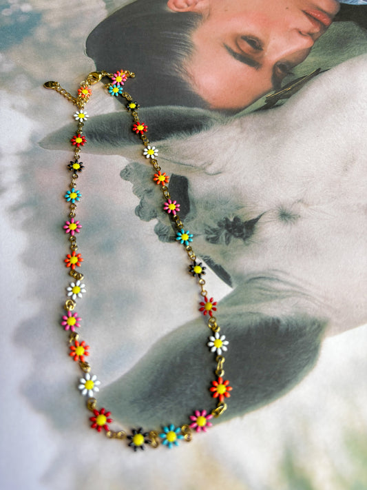 Collar Color Daisy