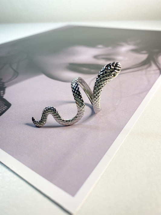 Anillo Snake