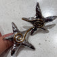 Anillo Starfish Silver