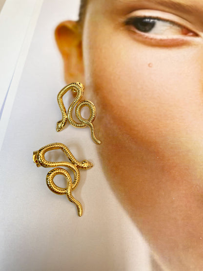 Aretes "Snake"