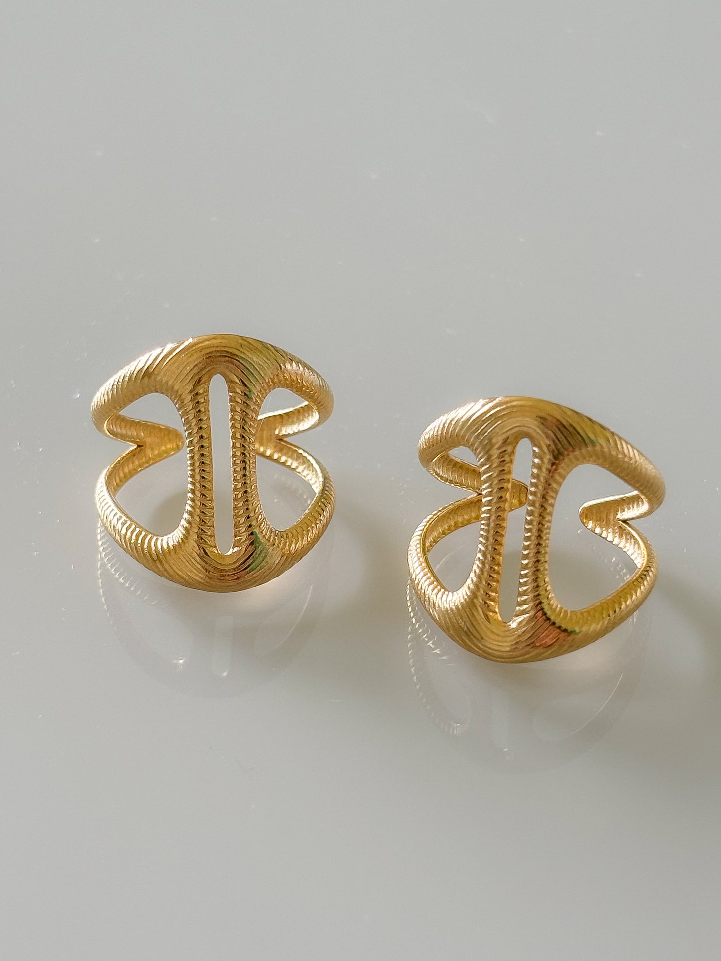 Anillo Escudo