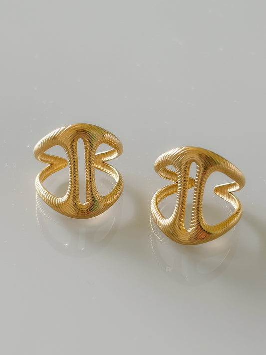 Anillo Escudo