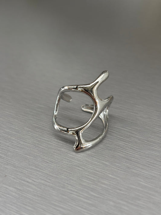Anillo Ludica